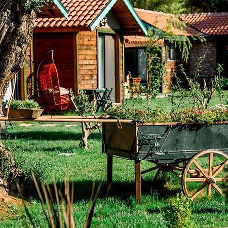 Serender Bungalov Bed and Breakfast Foça Exteriör bild