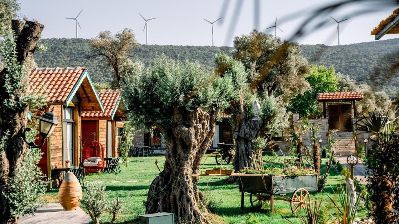 Serender Bungalov Bed and Breakfast Foça Exteriör bild